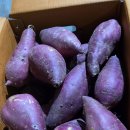 가정1-02-010 이미지