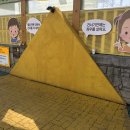 옐로카펫 이미지