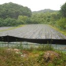 아지트공인중개사사무소 이미지