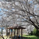 송림쉼터 이미지