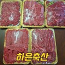 엄지축산 | 명절 선물세트 추천 하은축산 한우 투쁠 넘버9 선물세트