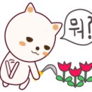 톰아저씨핫도그 이미지