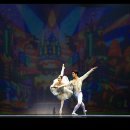 수원발레축제 이미지