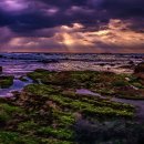 장해농장 이미지