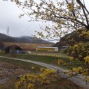 늘푸른흑염소2농장 이미지