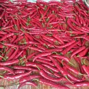 사남매농장 이미지