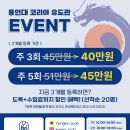 용인대 코리아 유도관 이미지