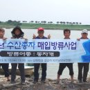풍성수산 케이에스피뉴스