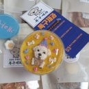 독구제과 이미지