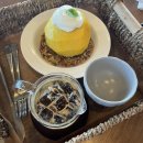 유행농장 이미지