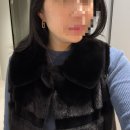 성진세탁소 | 과하다는 편견은 이제 NO! '휘뚜루마뚜루' 성진모피 블랙 밍크 베스트 구매 및 데일리 착용 리뷰