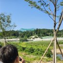 주식회사 생물다양성교육센터 | 아이와 생태체험 2026 중랑천 생물다양성 탐사대회, 무료 조류 탐조 후기 및 환경 이야기 🌾🐦