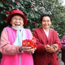 신흥2리마을 이미지