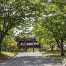 진주 유수리 백악기 화석산지 이미지