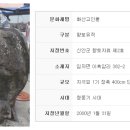 임자 화산단 이미지