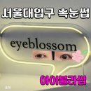11650-17-139-3 | 서울대입구 속눈썹 펌앤연장 아이블라썸, 비대칭 눈도 또렷해진 리얼 후기