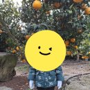 제주파인비치펜션 이미지