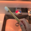 긱스피자&유캔두잇 | ✈️델타항공 탑승 후기 ICN→MSP→YYC / 캐나다 입국기