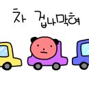 미어캣
