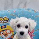 만년YES동물병원 이미지