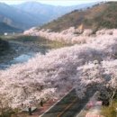 화개119지역대 이미지