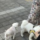 성환문화약국 | 2025년 8월을 마치며
