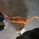 미도파약국 | 가을+겨울을 다 느낀 한 달