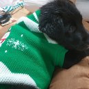 터골농원 이미지