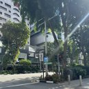 주례오토바이 | 결혼 준비 총정리. 신혼 여행까지. ❤️