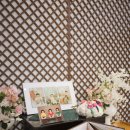 미추홀공원 다례원 | 한동엽스냅 돌잔치 스냅 후기(송도 라띠움 제휴업체)