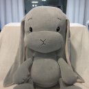 지우코퍼레이션 | [D+91] 쑹이에게 친구가 생겼어요♡ (에피키즈-에픽버니)