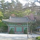 청보리家 네이버블로그