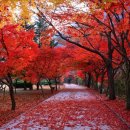 종합운동장역 7번출구(뒤) 이미지