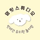 멍 핏 스튜디오 이미지