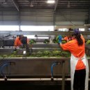 화남농장 이미지