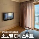예스D.C마트 | 비발디파크 소노벨 C동 스위트 패밀리 스탠다드 비교 B C동 차이