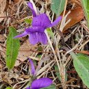 한경행정사사무소 이미지