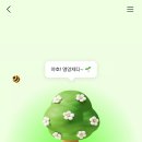 케이다시원 | 케이뱅크 돈나무 키우기 완벽 정리/돈나무 영양제/친구초대/최대 10만원까지?/사용후기