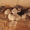 파란농장 이미지