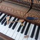 소리엘음악교습소 이미지