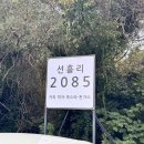 선흘리2085