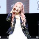 헤어핑크 - 동해시 | 헤어핑크