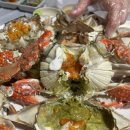 갯마을식당 | [서울/강서수산물도매시장] 서해수산, 흥한수산, 갯마을 식당 내돈내산 솔직후기 !