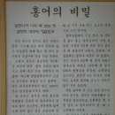 흑산도홍어집 이미지