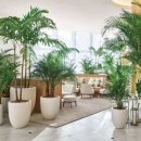 나만의 플랜테리어 이미지