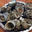 섬사랑펜션 이미지