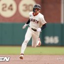 (주)펫코 이미지