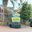 짱구 짱아 애견샵 | 제주 서쪽 가볼만한곳 짱구 팝업스토어 르벙쓸레브 짱구 소품샵