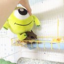 주식회사 삼이 이미지