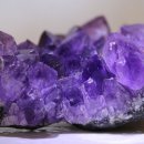 바이오매트 이미지